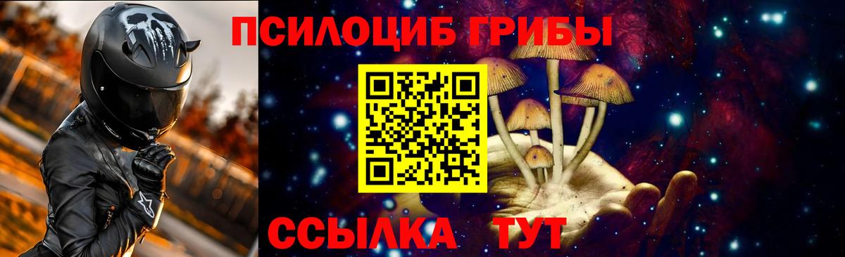 Лениногорск  Псилоцибиновые грибы Magic Shrooms  Галлюциногенные грибы мицелий  Вход с VPN 